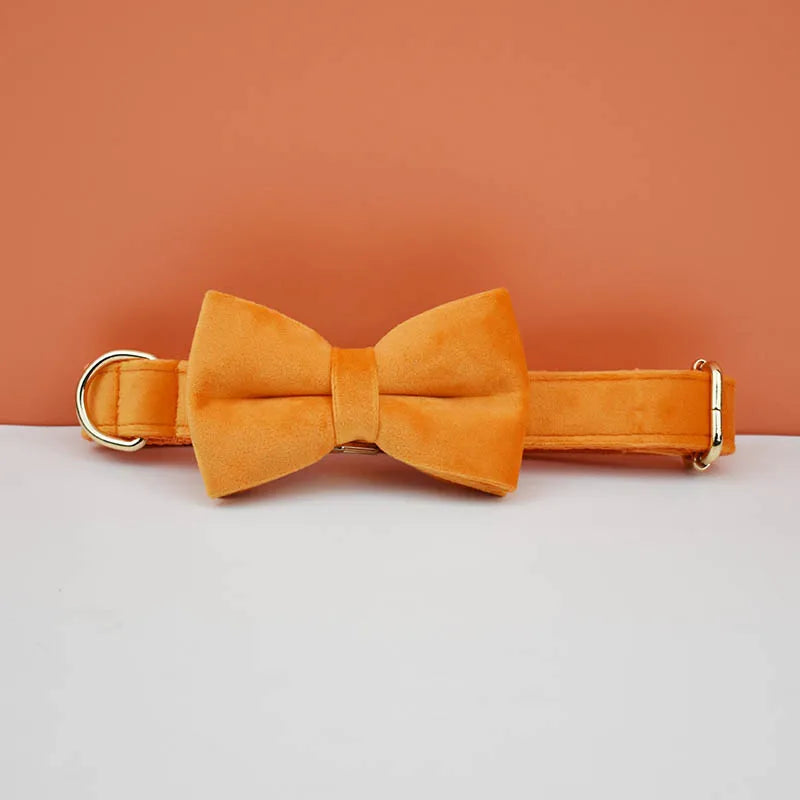 Velvet Adjustable Dog Collarleash，Gold Dog Collar and Leash Set，Dog Collar Leash and Harness Set Strong Large Dog