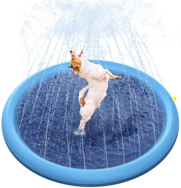 Splash Cooldown Dog Pool